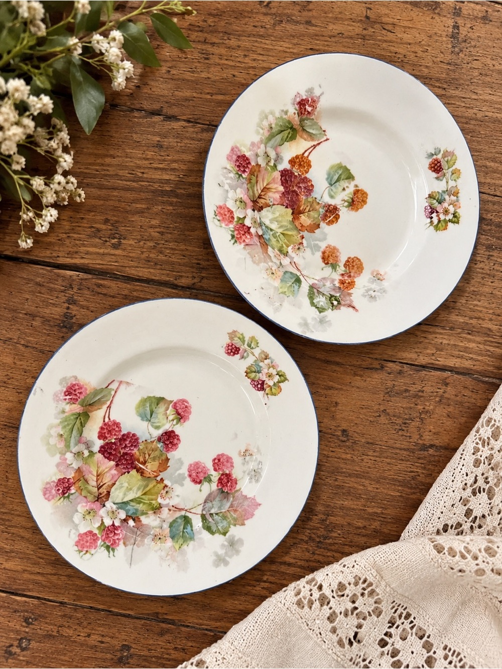 Antique Czechoslovakia Porcelain Berry Plates Set of 2 Raspberry Floral 1920s